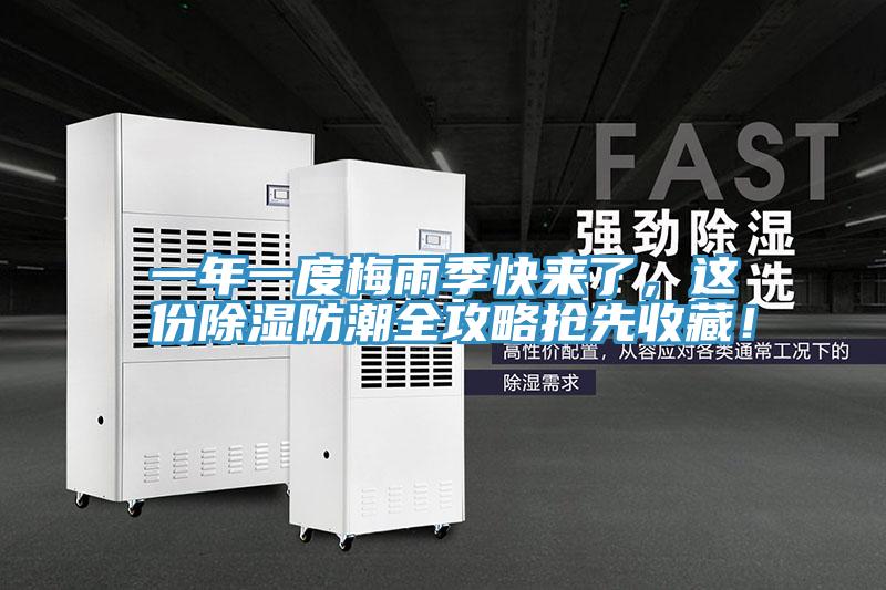 一年一度梅雨季快來了，這份除濕防潮全攻略搶先收藏！