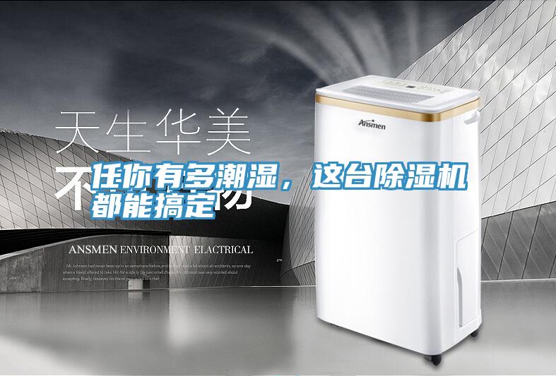 任你有多潮濕，這臺除濕機(jī)都能搞定
