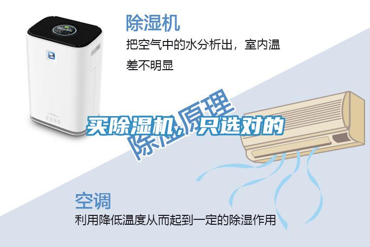 買除濕機，只選對的