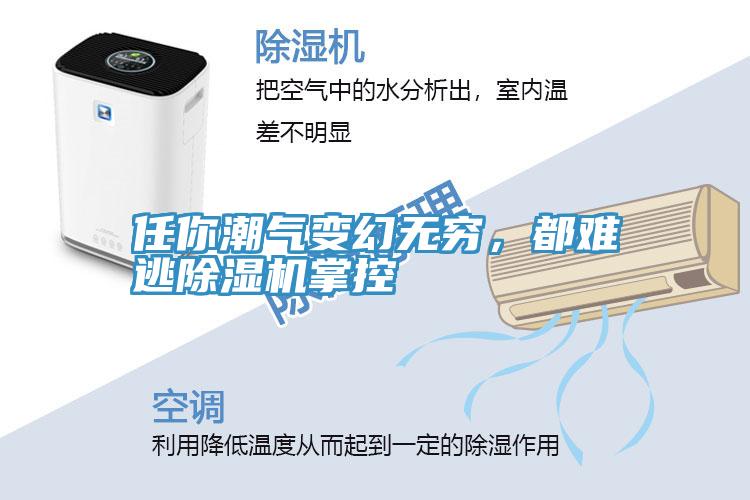 任你潮氣變幻無窮，都難逃除濕機(jī)掌控