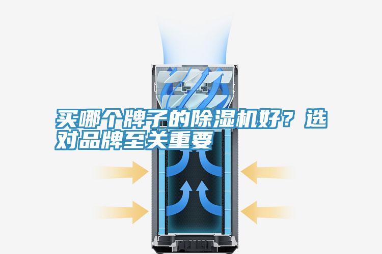 買哪個(gè)牌子的除濕機(jī)好？選對(duì)品牌至關(guān)重要