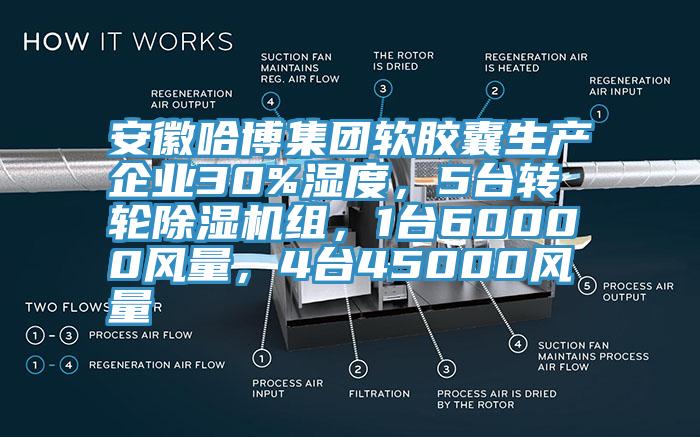 安徽哈博集團(tuán)軟膠囊生產(chǎn)企業(yè)30%濕度，5臺轉(zhuǎn)輪除濕機(jī)組，1臺60000風(fēng)量，4臺45000風(fēng)量