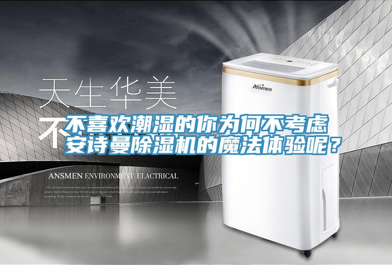 不喜歡潮濕的你為何不考慮安詩曼除濕機的魔法體驗呢？