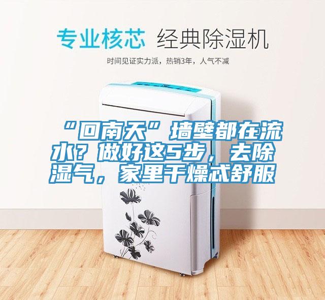 “回南天”墻壁都在流水？做好這5步，去除濕氣，家里干燥忒舒服