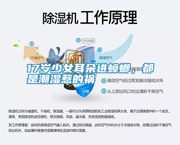 17歲少女耳朵進(jìn)蟑螂，都是潮濕惹的禍