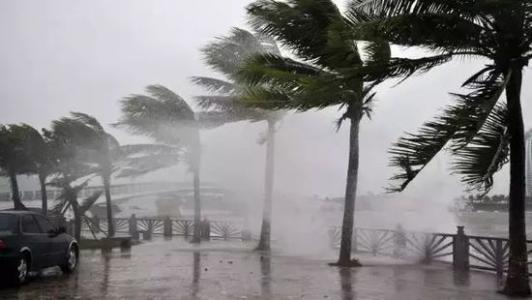 8月臺風(fēng)雨即將來，除濕機還得用起來