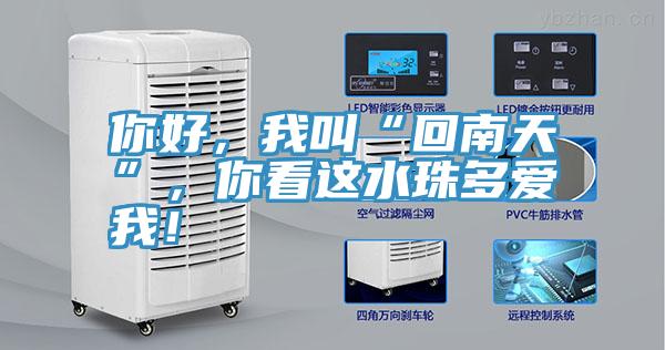 你好，我叫“回南天”，你看這水珠多愛我！