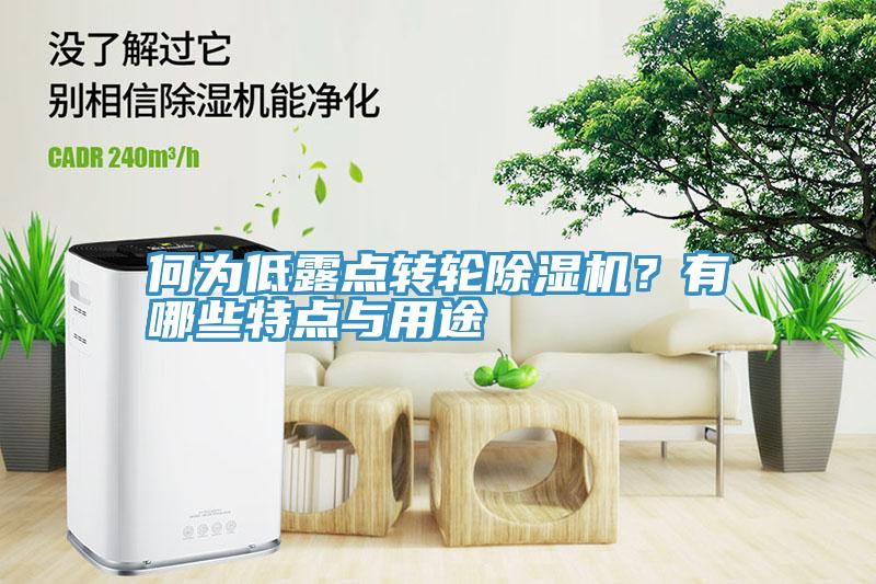何為低露點(diǎn)轉(zhuǎn)輪除濕機(jī)？有哪些特點(diǎn)與用途