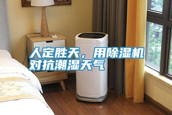 人定勝天，用除濕機對抗潮濕天氣