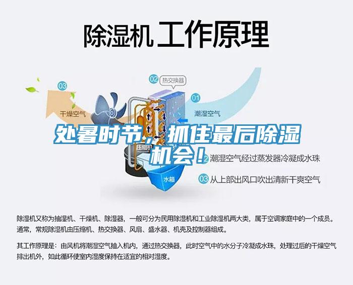 處暑時(shí)節(jié)，抓住最后除濕機(jī)會(huì)！