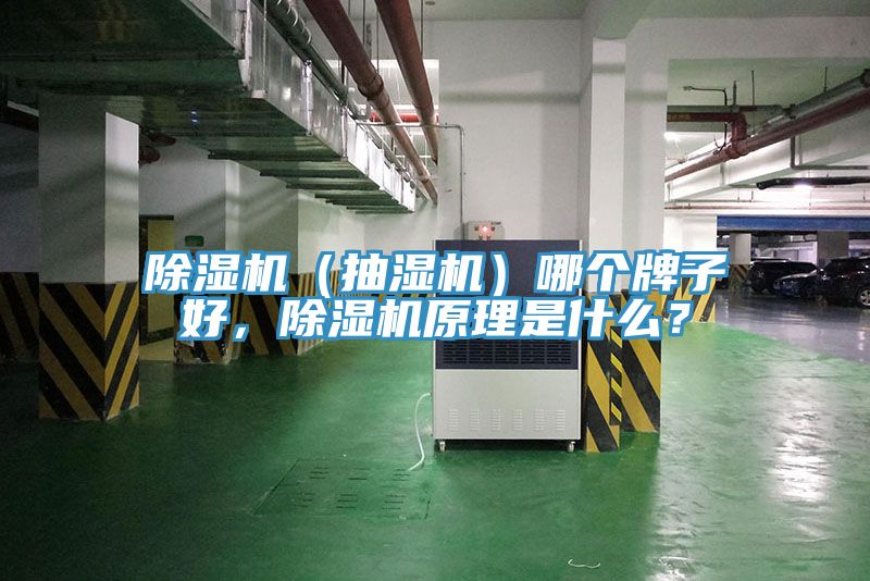 除濕機（抽濕機）哪個牌子好，除濕機原理是什么？