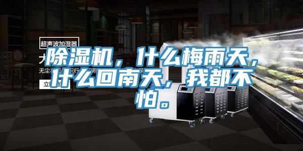 除濕機，什么梅雨天，什么回南天，我都不怕。