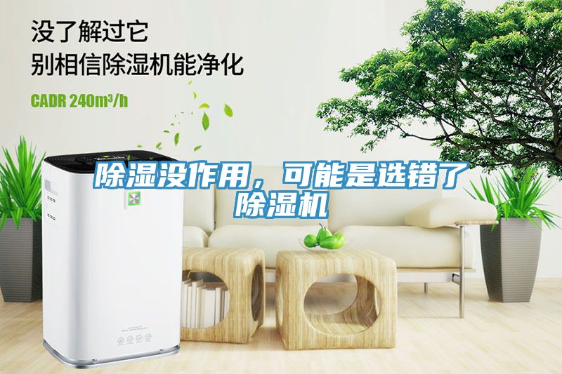 除濕沒作用，可能是選錯(cuò)了除濕機(jī)