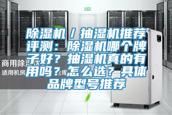 除濕機(jī)／抽濕機(jī)推薦評測：除濕機(jī)哪個牌子好？抽濕機(jī)真的有用嗎？怎么選？具體品牌型號推薦