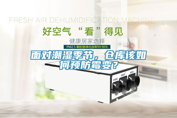 面對(duì)潮濕季節(jié)，倉庫該如何預(yù)防霉變？