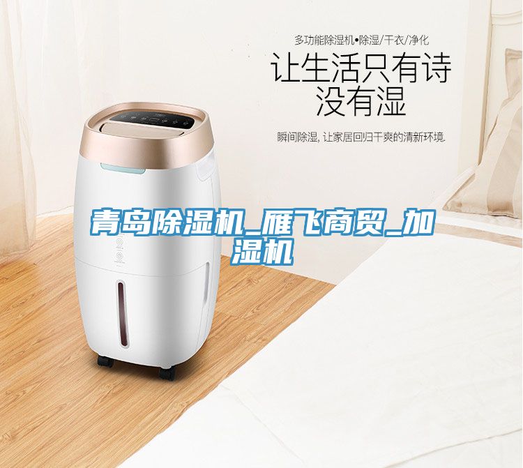 青島除濕機_雁飛商貿(mào)_加濕機