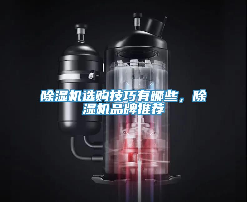 除濕機(jī)選購技巧有哪些，除濕機(jī)品牌推薦