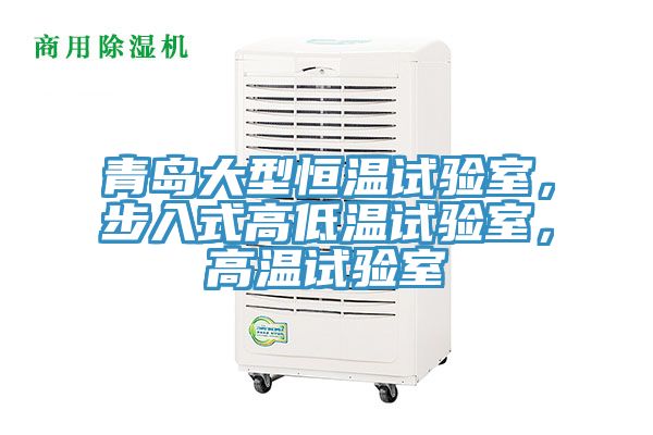 青島大型恒溫試驗室，步入式高低溫試驗室，高溫試驗室