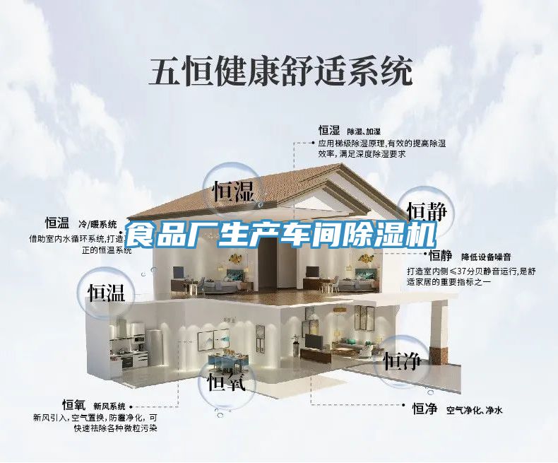 食品廠生產(chǎn)車間除濕機
