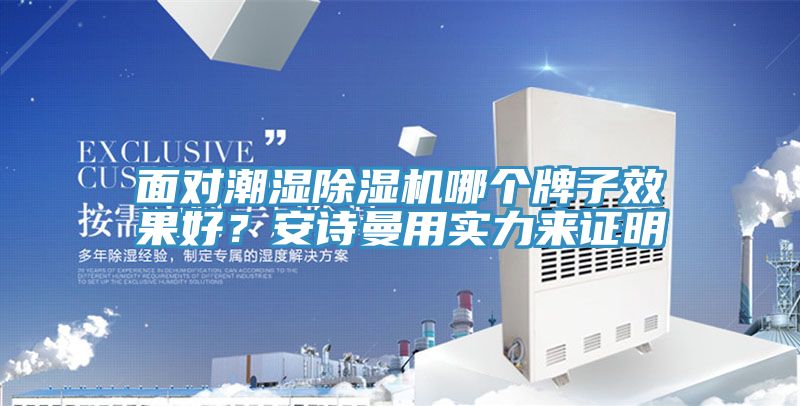 面對潮濕除濕機哪個牌子效果好？安詩曼用實力來證明