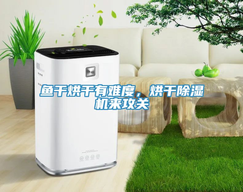魚干烘干有難度，烘干除濕機來攻關