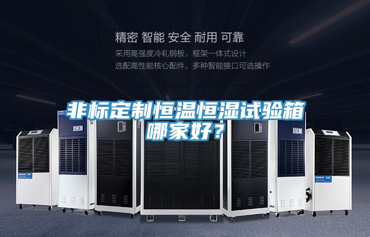非標(biāo)定制恒溫恒濕試驗箱哪家好？