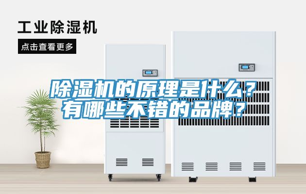 除濕機(jī)的原理是什么？有哪些不錯(cuò)的品牌？