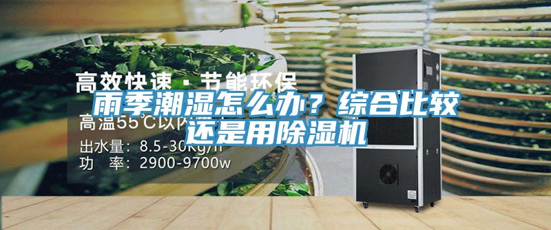 雨季潮濕怎么辦？綜合比較還是用除濕機(jī)
