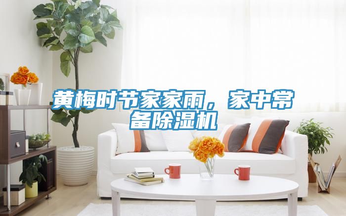 黃梅時(shí)節(jié)家家雨，家中常備除濕機(jī)