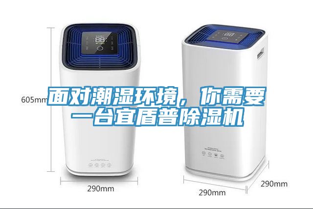 面對潮濕環(huán)境，你需要一臺宜盾普除濕機