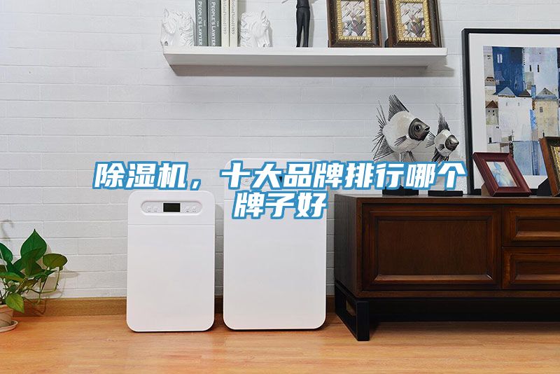 除濕機，十大品牌排行哪個牌子好