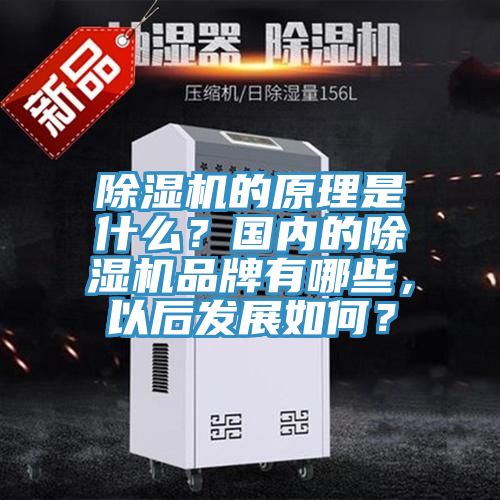 除濕機(jī)的原理是什么？國(guó)內(nèi)的除濕機(jī)品牌有哪些，以后發(fā)展如何？