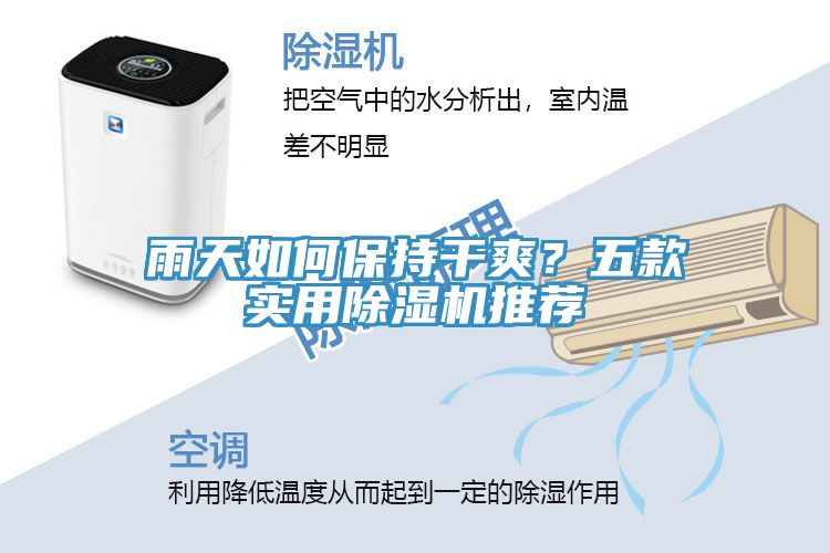 雨天如何保持干爽？五款實用除濕機(jī)推薦