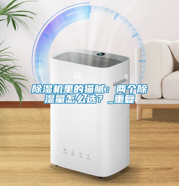 除濕機(jī)里的貓膩：兩個(gè)除濕量怎么選？_重復(fù)