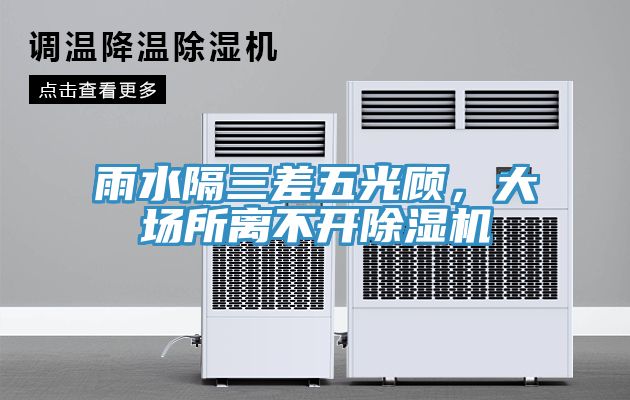 雨水隔三差五光顧，大場所離不開除濕機