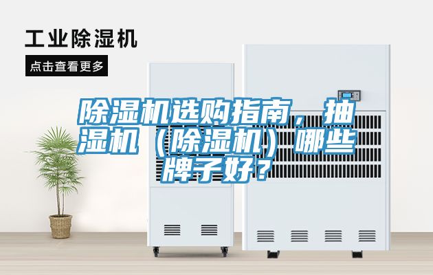 除濕機選購指南，抽濕機（除濕機）哪些牌子好？