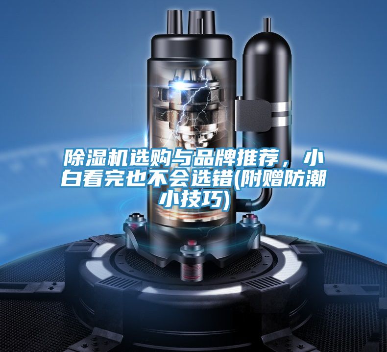 除濕機(jī)選購與品牌推薦，小白看完也不會(huì)選錯(cuò)(附贈(zèng)防潮小技巧)