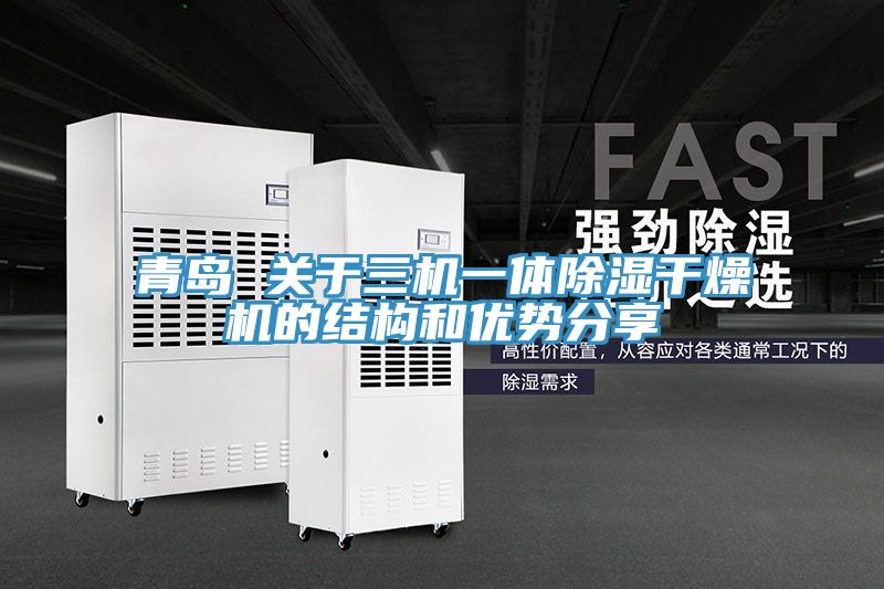 青島 關(guān)于三機一體除濕干燥機的結(jié)構(gòu)和優(yōu)勢分享