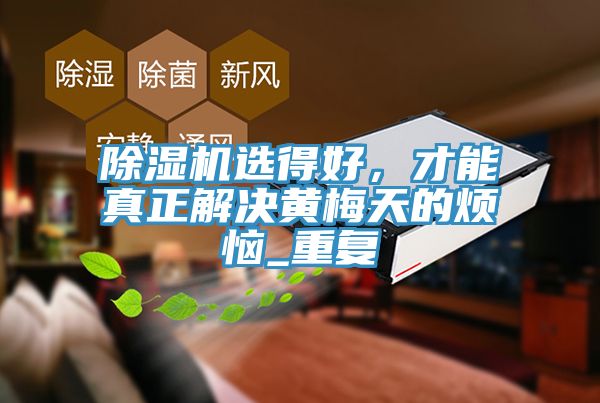 除濕機(jī)選得好，才能真正解決黃梅天的煩惱_重復(fù)