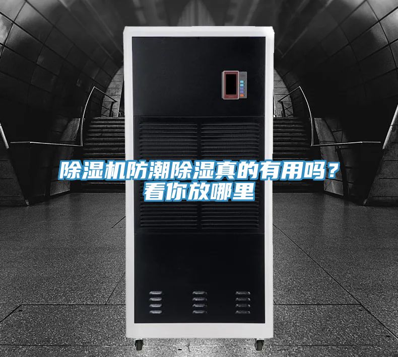 除濕機(jī)防潮除濕真的有用嗎？看你放哪里