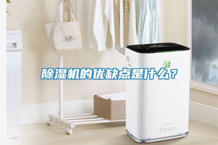 除濕機的優(yōu)缺點是什么？