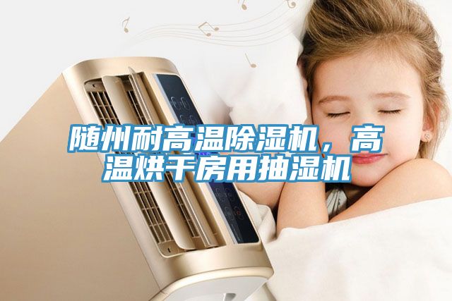 隨州耐高溫除濕機(jī)，高溫烘干房用抽濕機(jī)