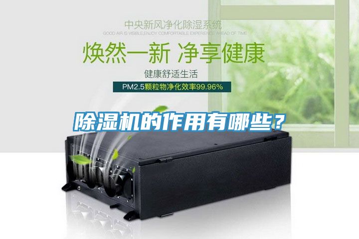 除濕機的作用有哪些？
