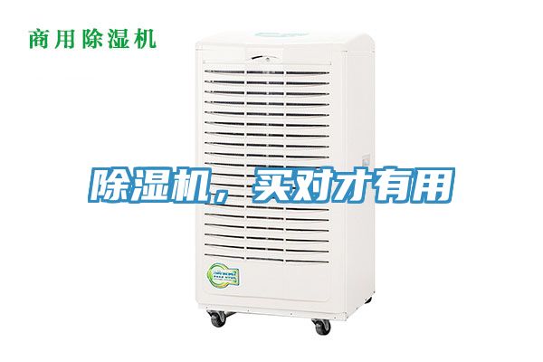 除濕機，買對才有用