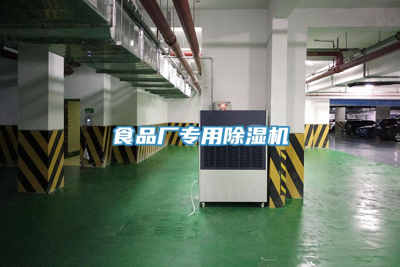 食品廠專(zhuān)用除濕機(jī)