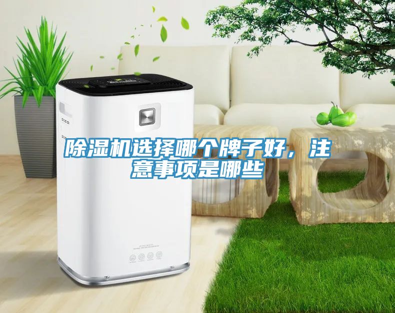 除濕機(jī)選擇哪個(gè)牌子好，注意事項(xiàng)是哪些