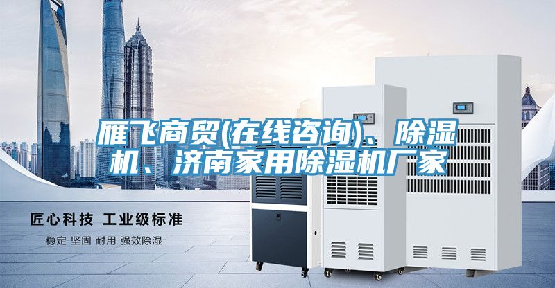 雁飛商貿(mào)(在線咨詢)、除濕機(jī)、濟(jì)南家用除濕機(jī)廠家