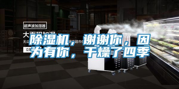 除濕機(jī)，謝謝你，因為有你，干燥了四季