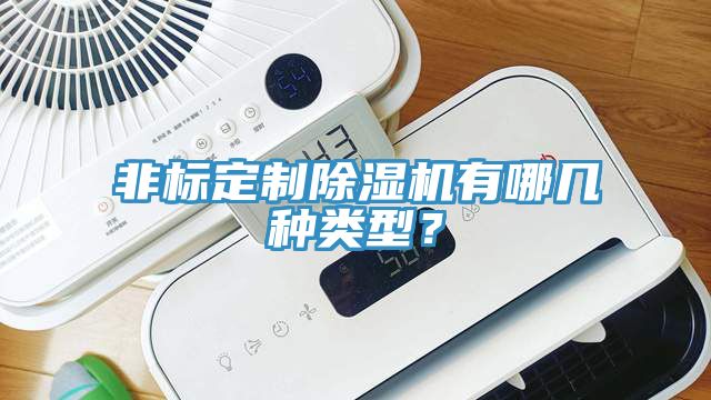 非標定制除濕機有哪幾種類型？