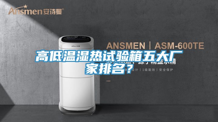 高低溫濕熱試驗(yàn)箱五大廠家排名？